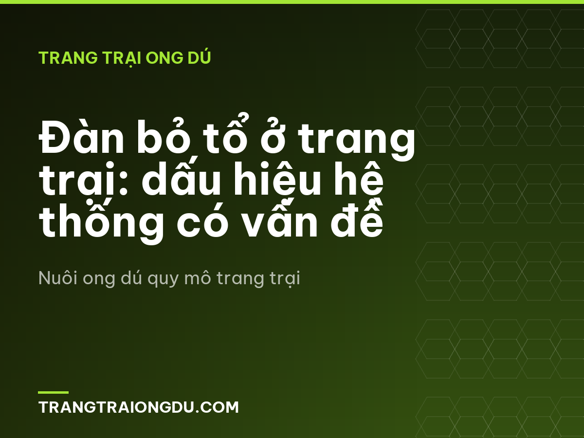 Đàn bỏ tổ ở trang trại: dấu hiệu hệ thống có vấn đề