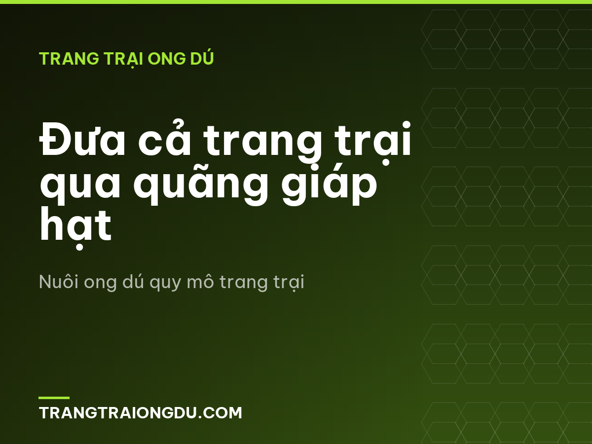 Đưa cả trang trại qua quãng giáp hạt