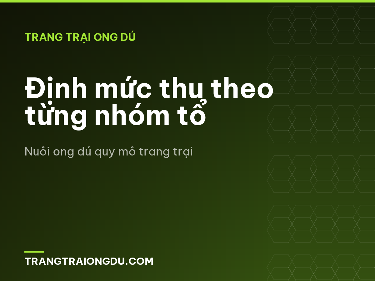 Định mức thu theo từng nhóm tổ