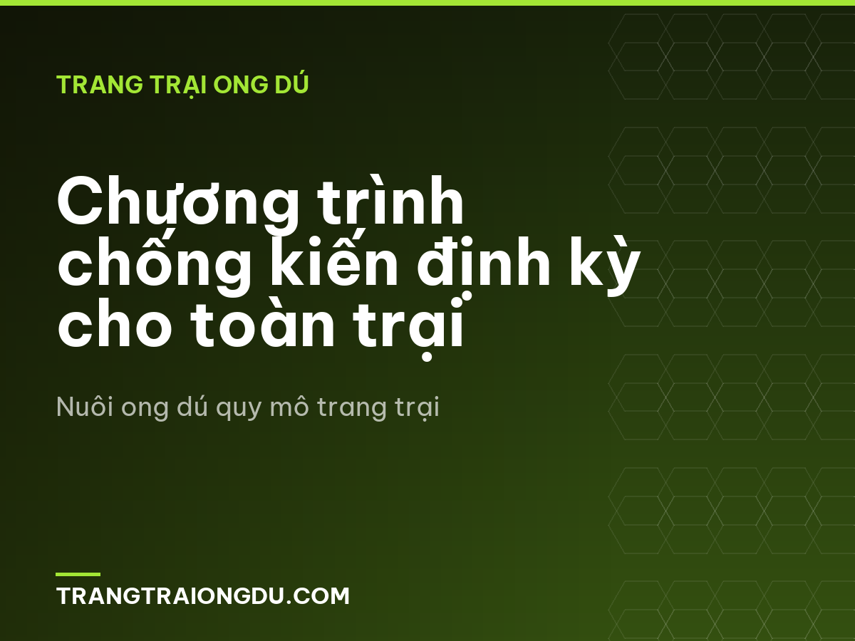 Chương trình chống kiến định kỳ cho toàn trại