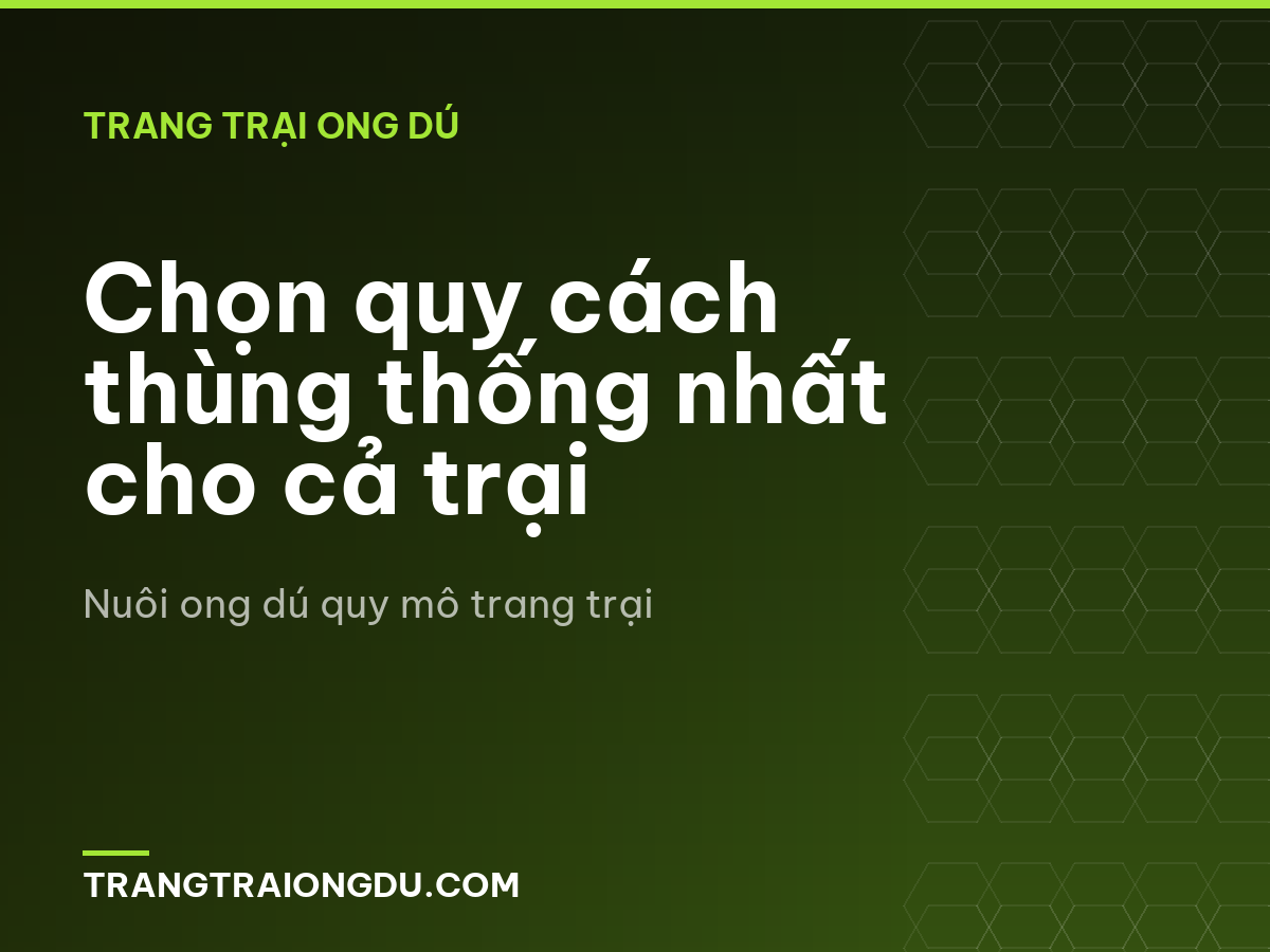 Chọn quy cách thùng thống nhất cho cả trại