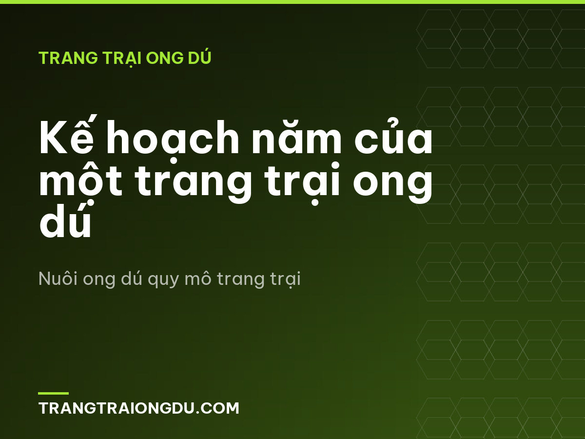 Kế hoạch năm của một trang trại ong dú