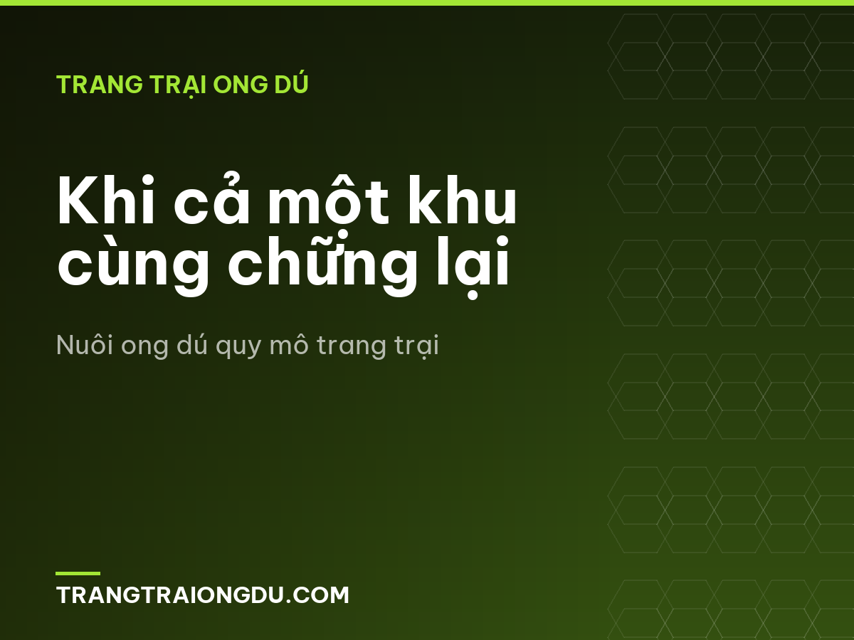 Khi cả một khu cùng chững lại