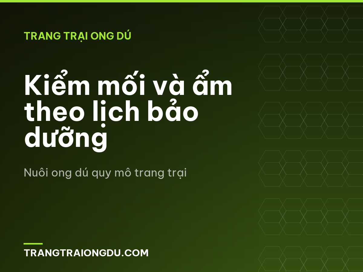 Kiểm mối và ẩm theo lịch bảo dưỡng
