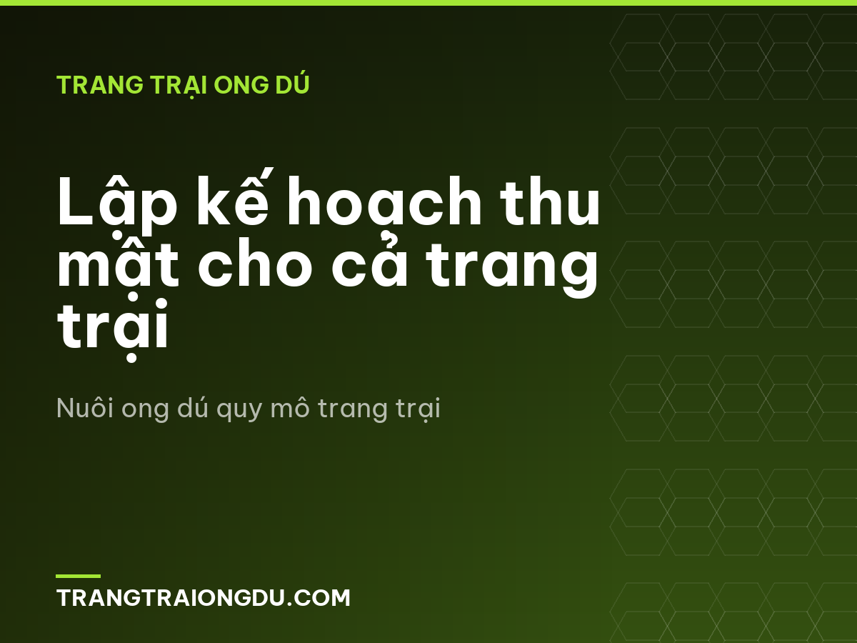 Lập kế hoạch thu mật cho cả trang trại