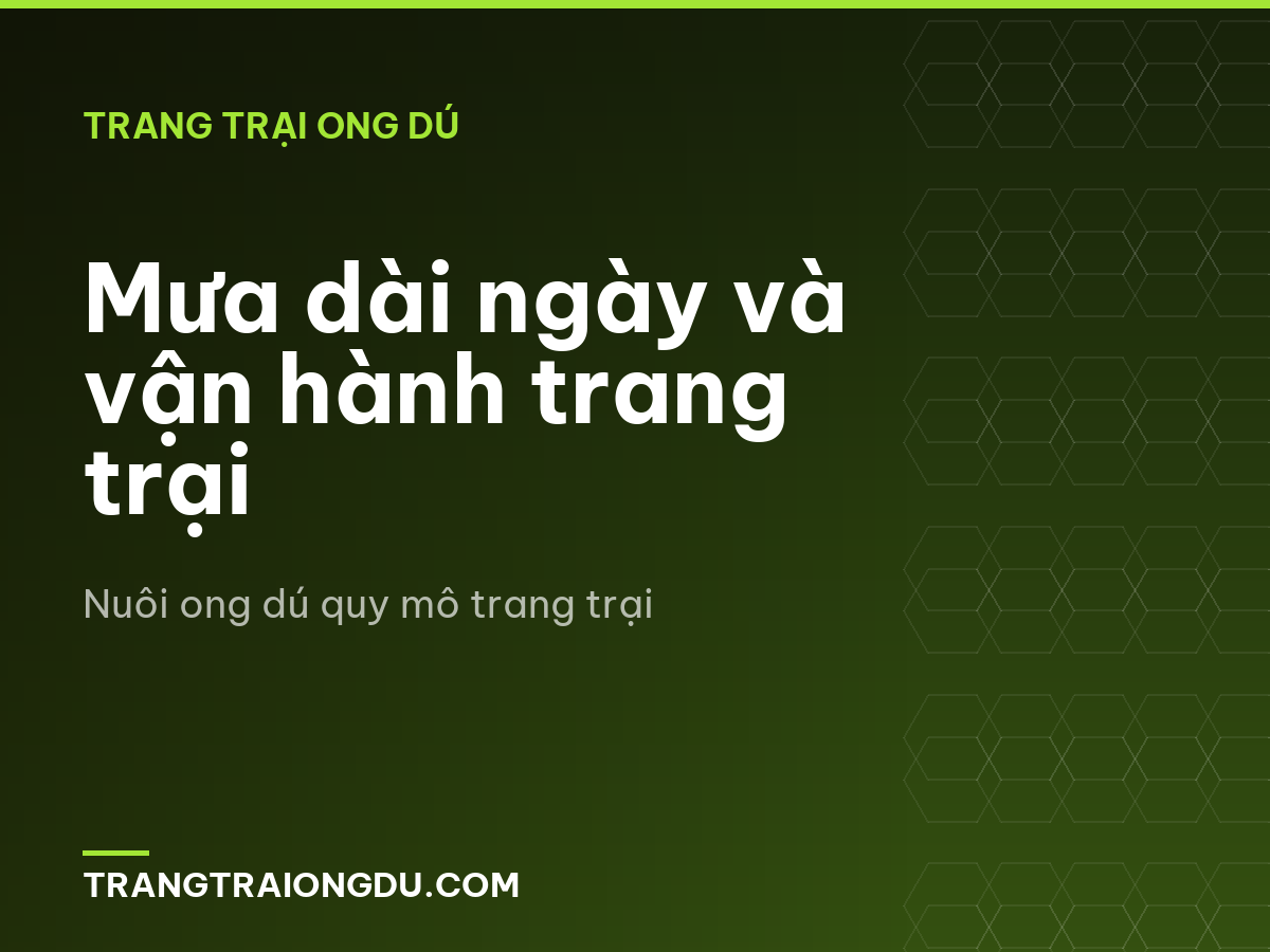 Mưa dài ngày và vận hành trang trại