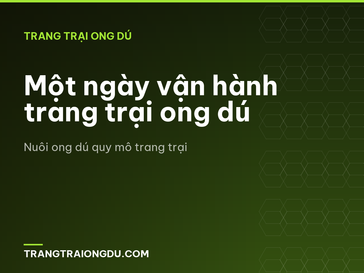 Một ngày vận hành trang trại ong dú