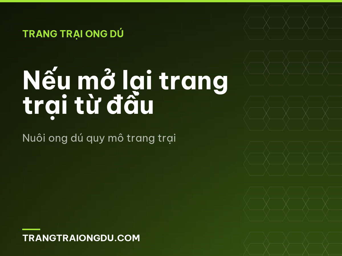 Nếu mở lại trang trại từ đầu
