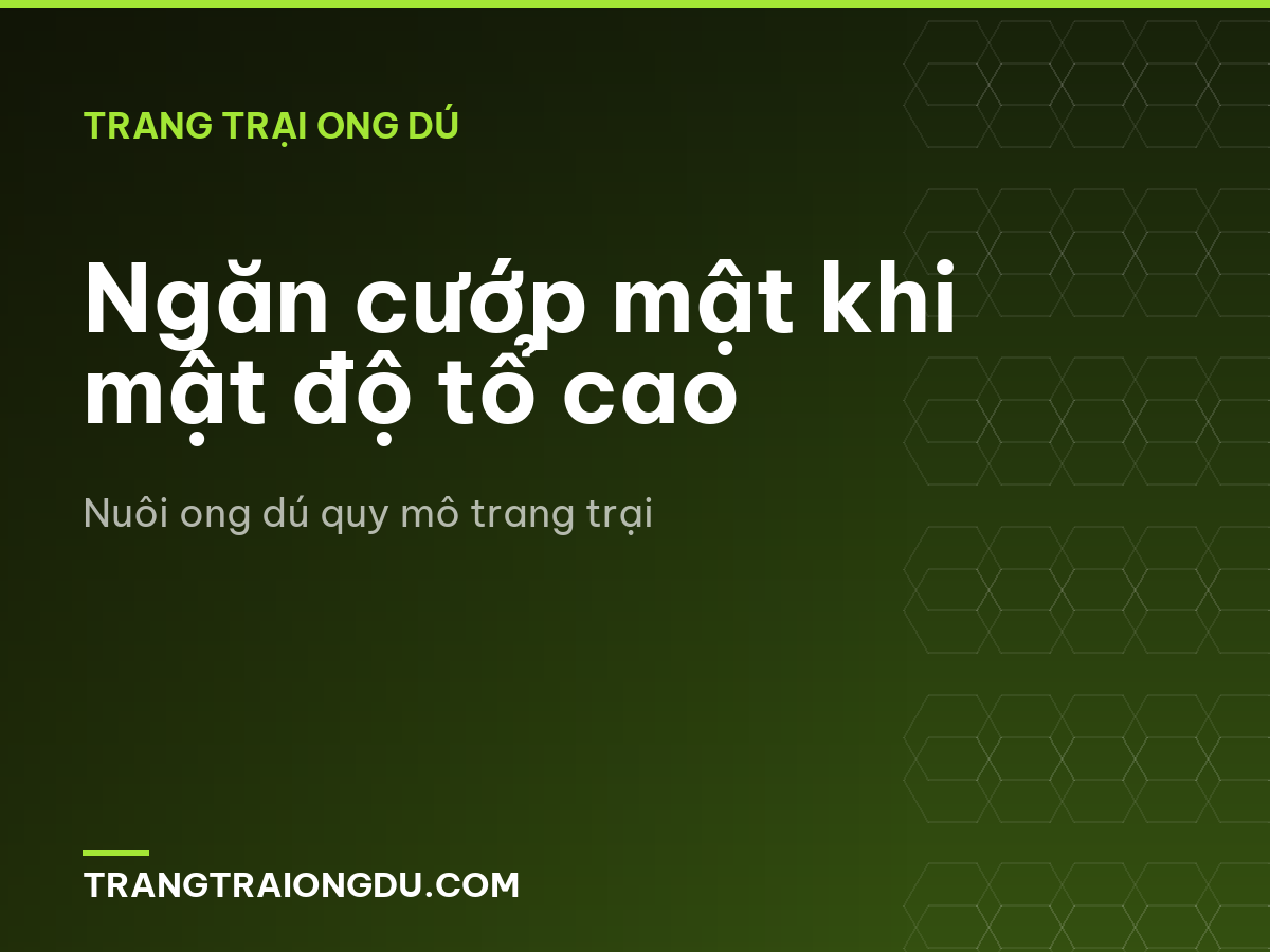 Ngăn cướp mật khi mật độ tổ cao