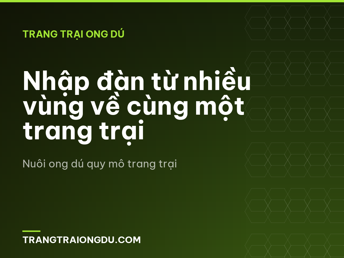Nhập đàn từ nhiều vùng về cùng một trang trại