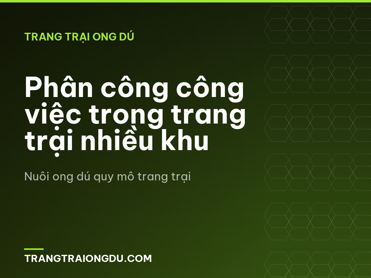 Phân công công việc trong trang trại nhiều khu