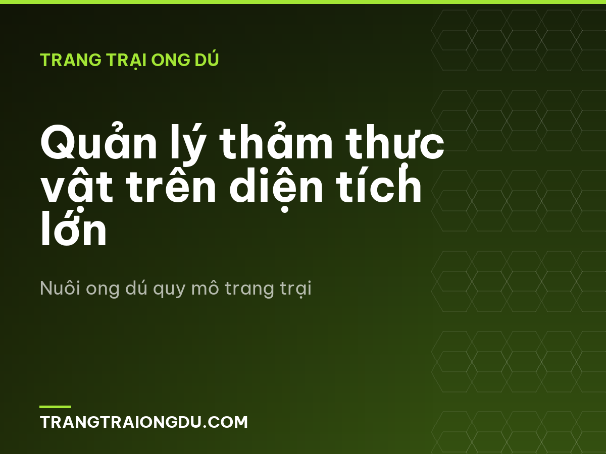 Quản lý thảm thực vật trên diện tích lớn