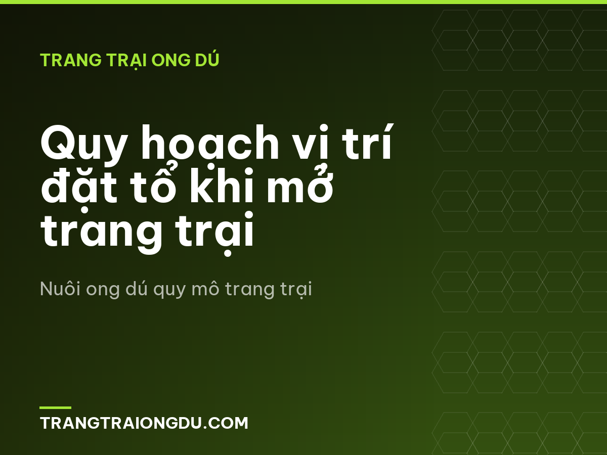 Quy hoạch vị trí đặt tổ khi mở trang trại