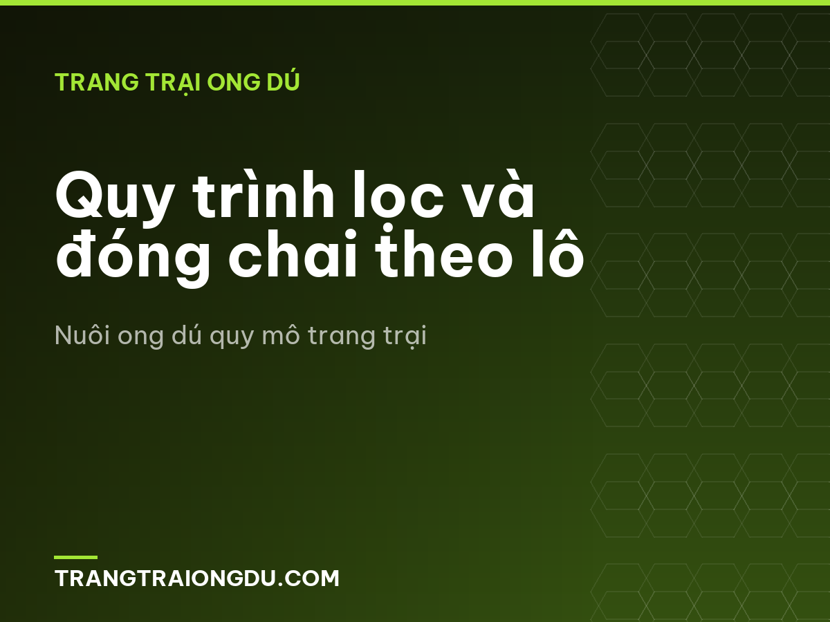 Quy trình lọc và đóng chai theo lô
