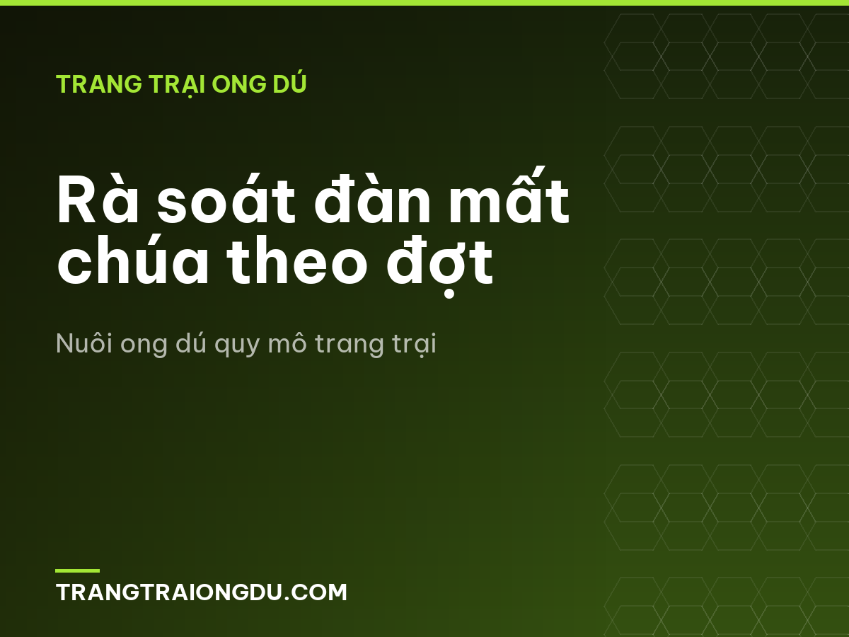 Rà soát đàn mất chúa theo đợt
