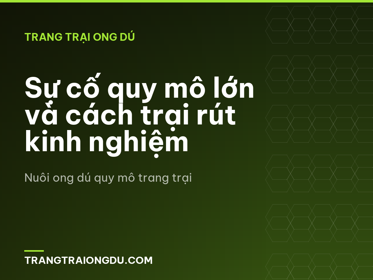 Sự cố quy mô lớn và cách trại rút kinh nghiệm