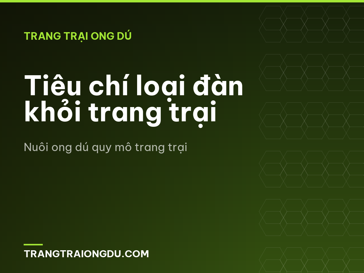 Tiêu chí loại đàn khỏi trang trại