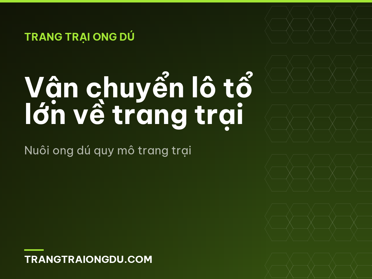 Vận chuyển lô tổ lớn về trang trại