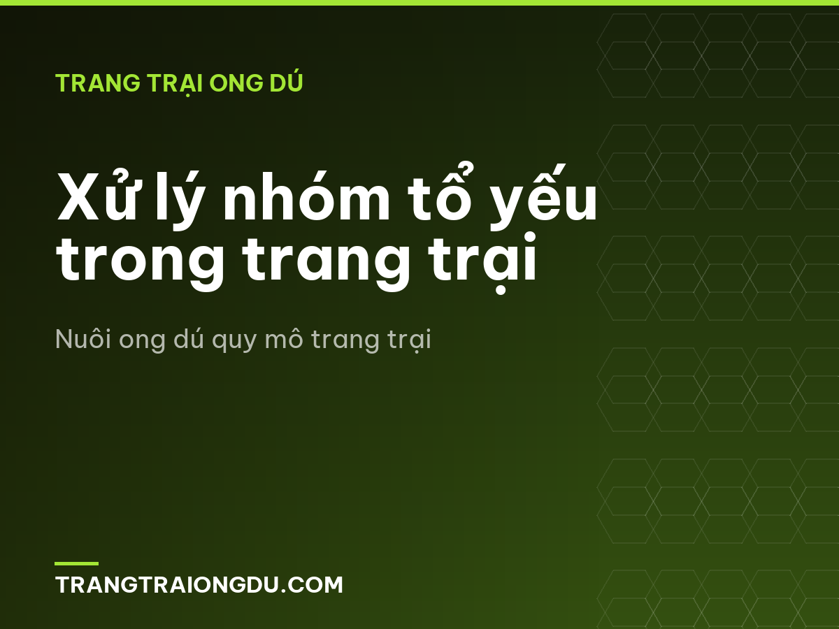 Xử lý nhóm tổ yếu trong trang trại
