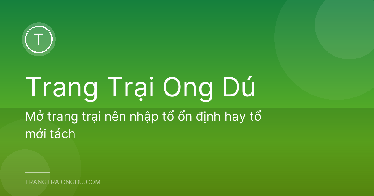 Mở trang trại nên nhập tổ ổn định hay tổ mới tách