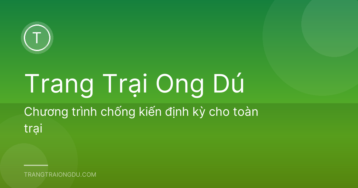 Chương trình chống kiến định kỳ cho toàn trại