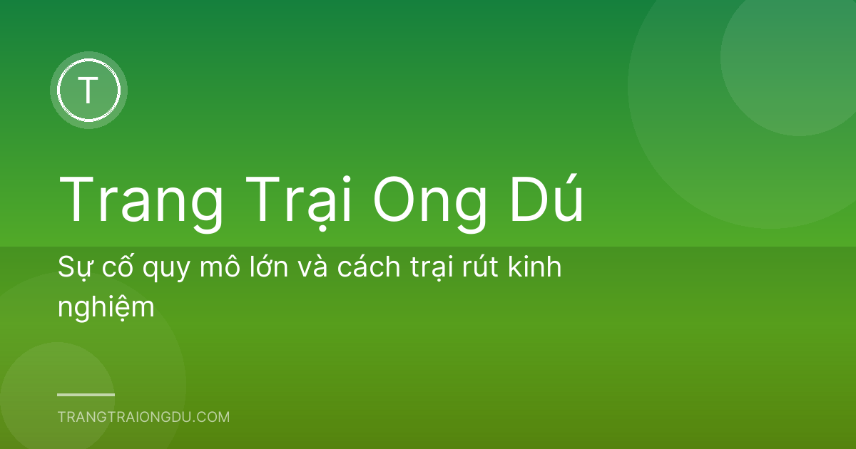 Sự cố quy mô lớn và cách trại rút kinh nghiệm